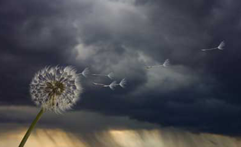 Adolescence is a time of storm and stress essays