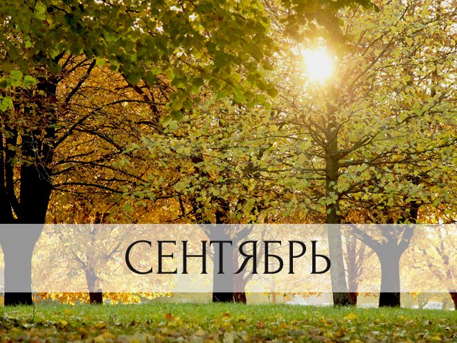 images_cms-image-000032995